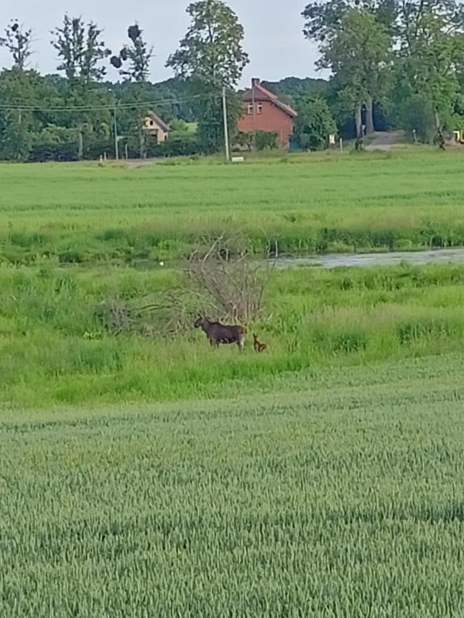 Swierkowe Siedlisko Węgorzewo Exteriér fotografie